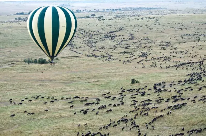 3-Day Masai Mara Joining Group Tour