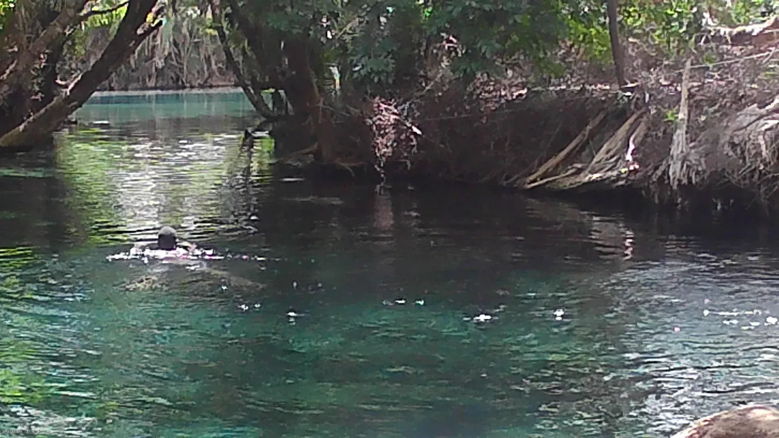 Kikuletwa Hot Springs (Chemka) Day Trip  -  From Moshi / Arusha