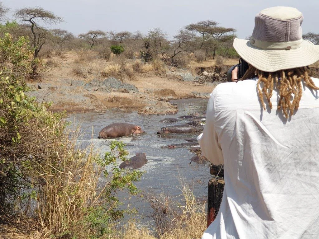 3-Day Shared Camping Safari from Zanzibar to Serengeti National Park & Ngorongoro Crater