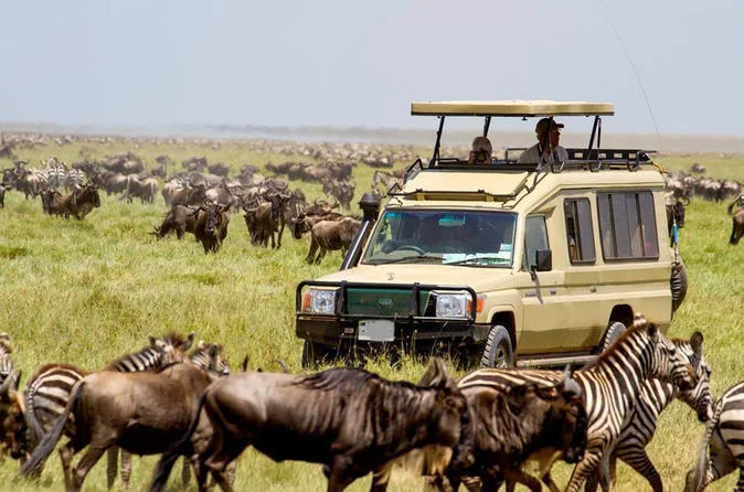 4-Day Lake Nakuru Masai Mara Kenya Luxury Safari