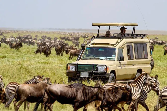 9-Day Luxury Spectacle Safari- Majestic Kenya Wonderland