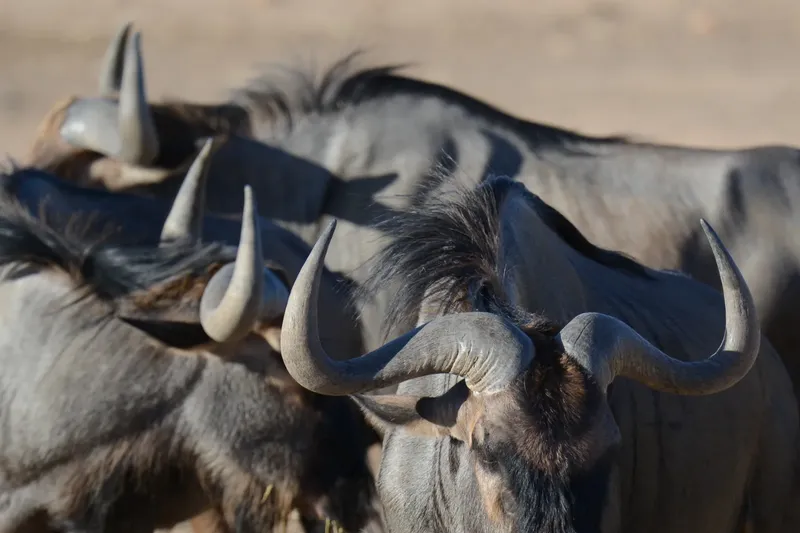 7-Day Kenya Adventure Safari