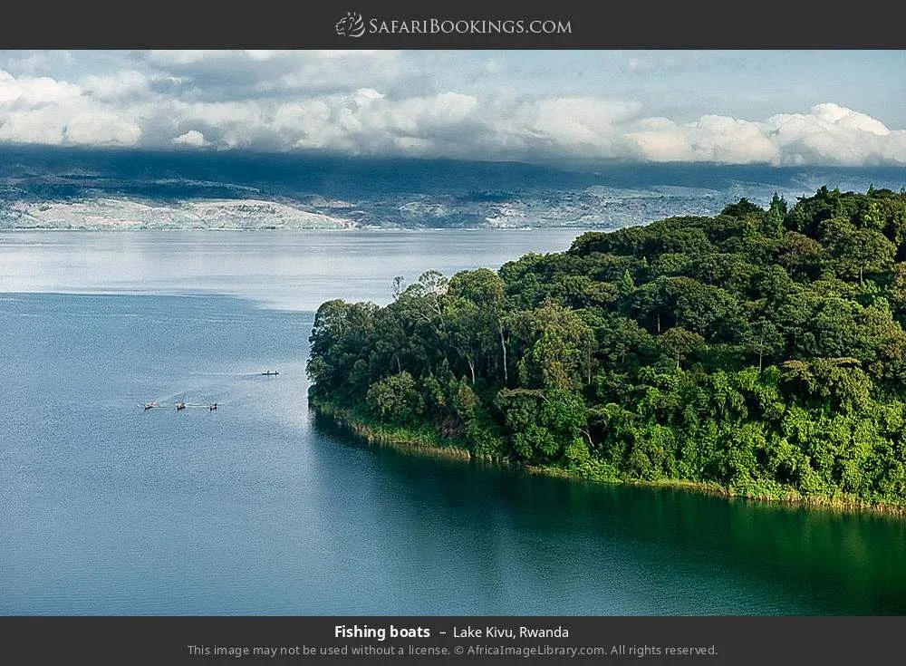 6-Day Rwanda Gorilla, Golden Monkey Trekking & Lake Kivu Adventure