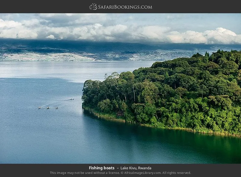 6-Day Rwanda Gorilla, Golden Monkey Trekking & Lake Kivu Adventure