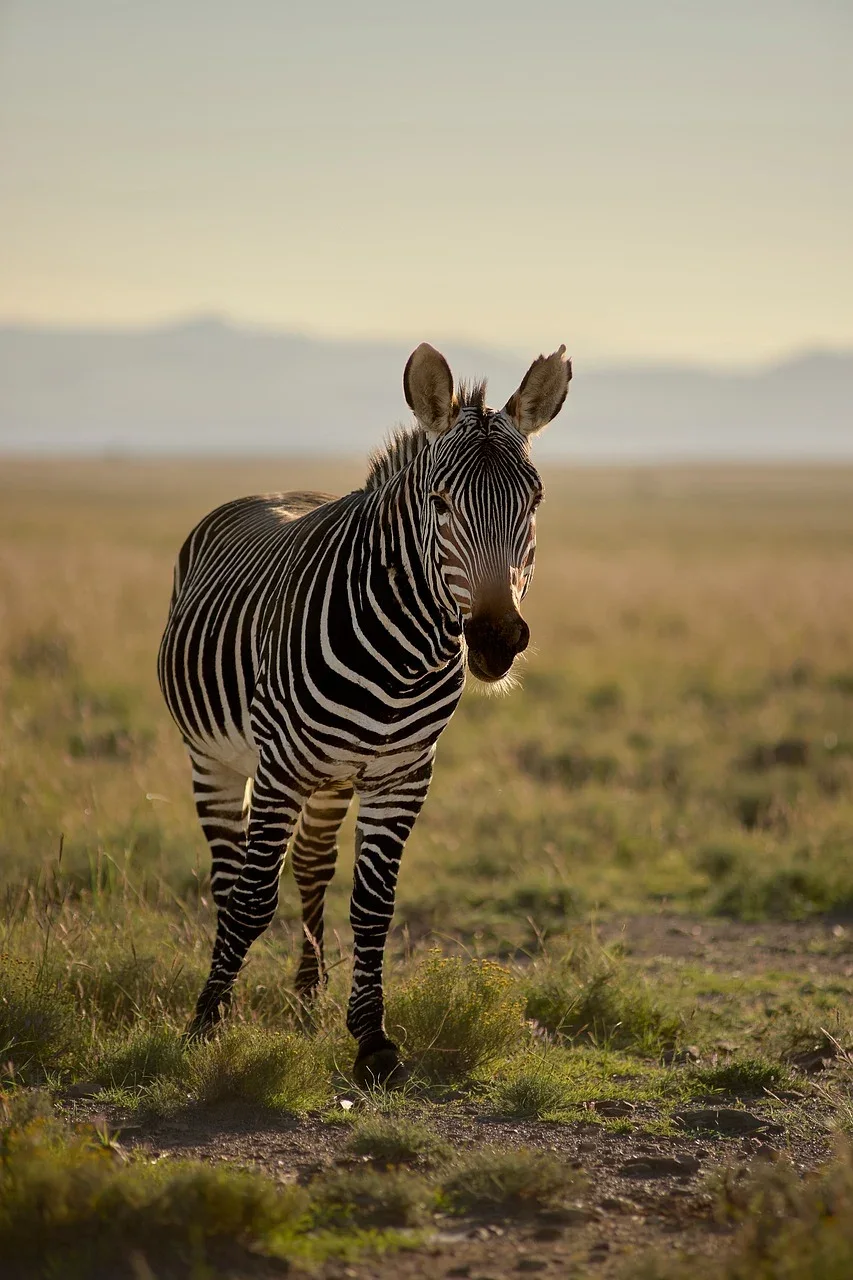 7-Day Memorable Adventure in Tarangire  Serengeti Ngorongoro and Lake Manyara
