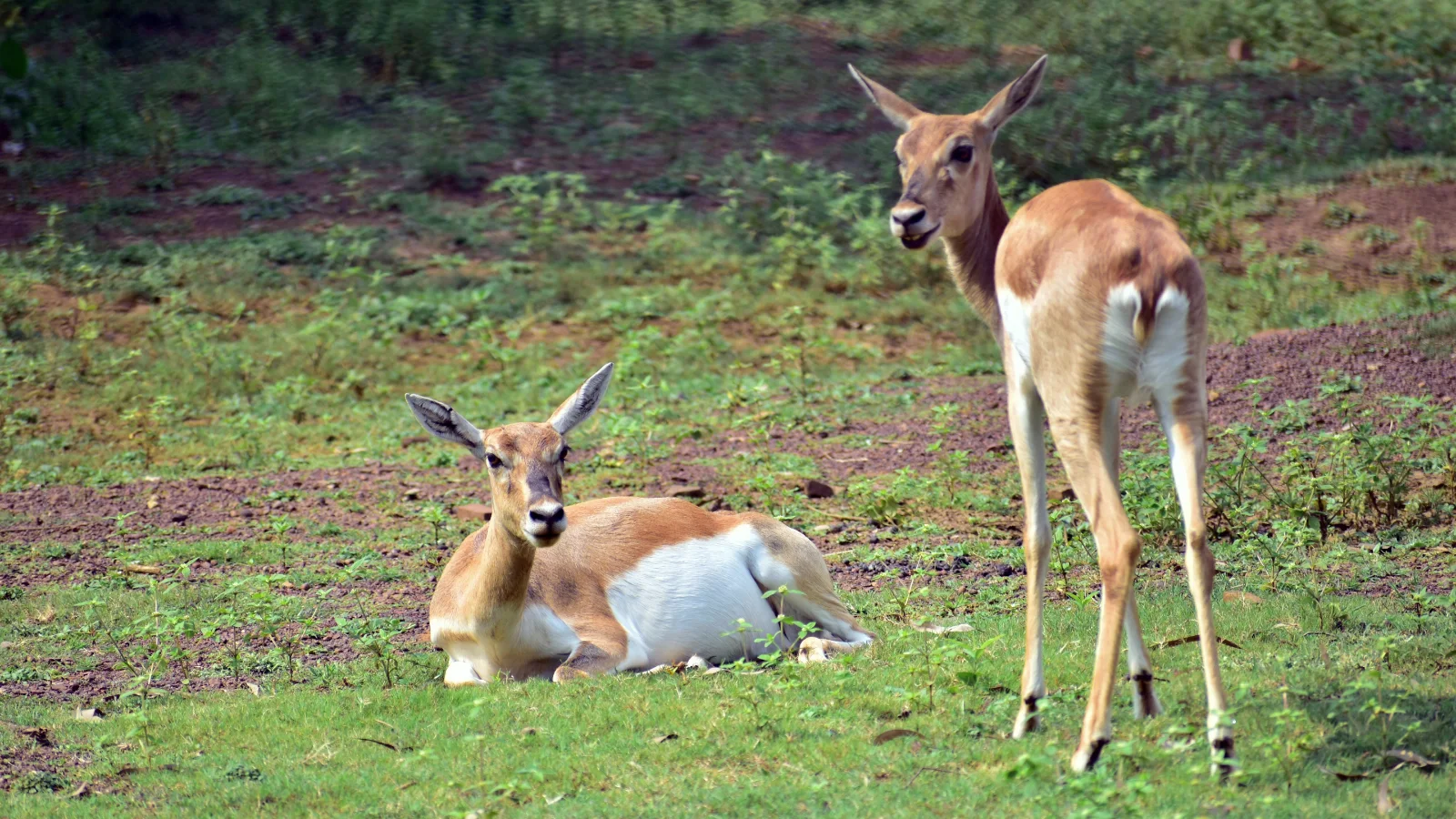 6-Day Discover Tranquil Wilderness