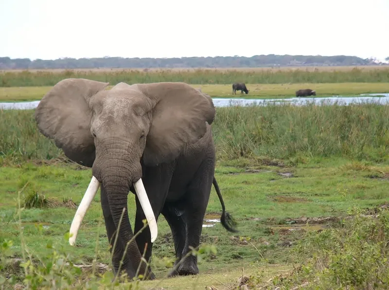 6-Day Wild Northern Kenya the Untamed Circuit