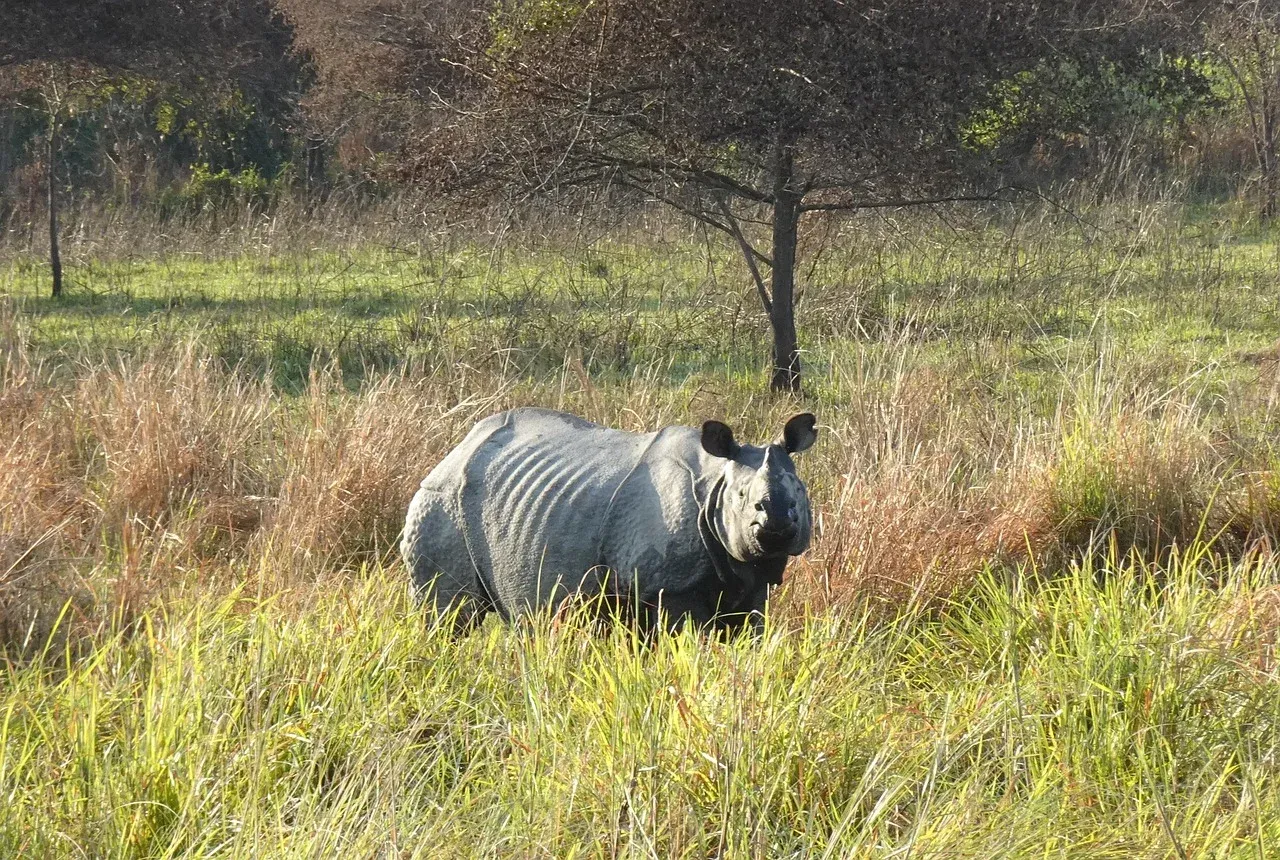 9-Day Luxury Bush and Beach Safari