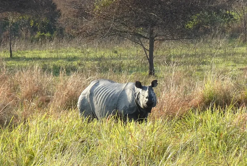 9-Day Luxury Bush and Beach Safari