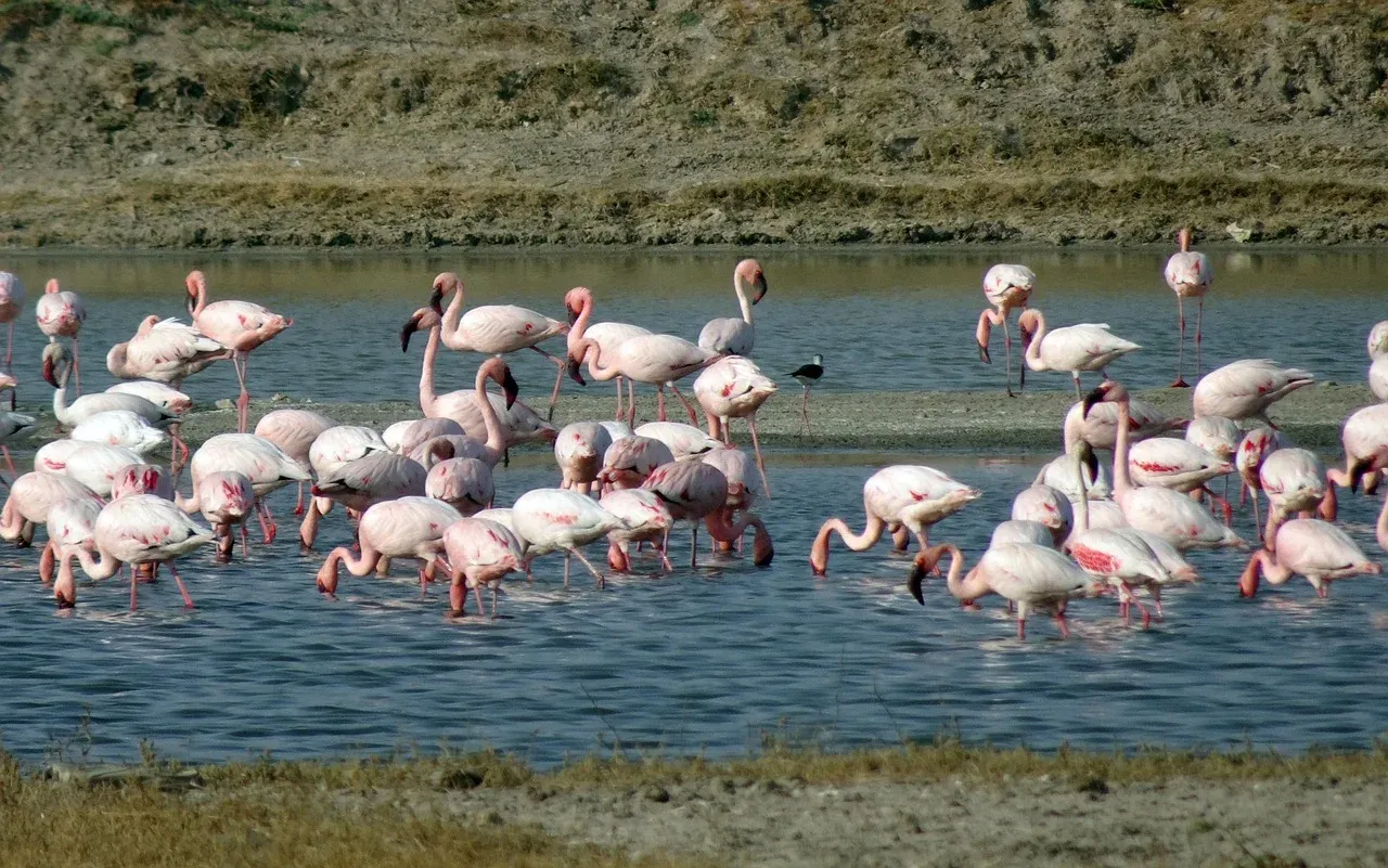 6-Day Giants of Amboseli to Coastline Bliss