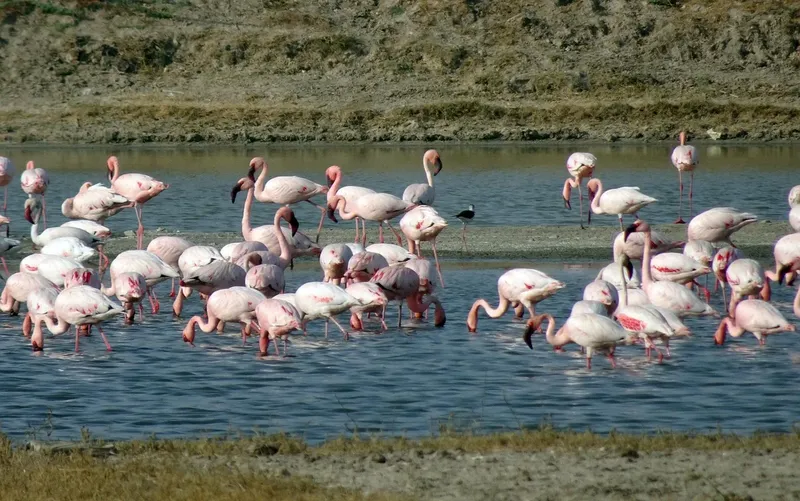 6-Day Giants of Amboseli to Coastline Bliss