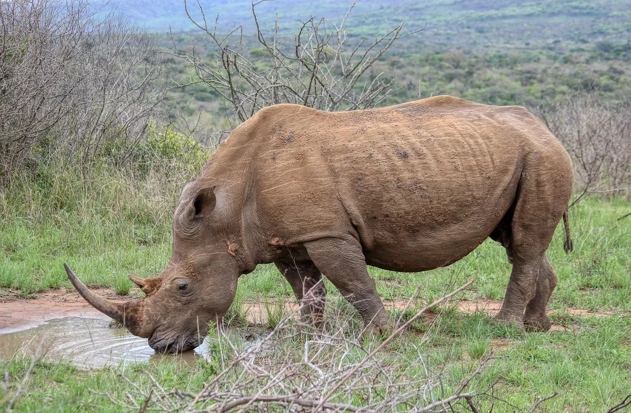 3-Day Taita Hills Sanctuary Tour