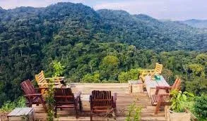 3 Day Bwindi Gorilla Trekking Adventure from Kigali