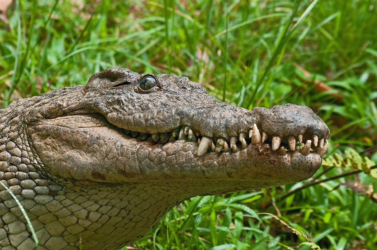 10-Day Southern Circuit Group Safari in Tanzania