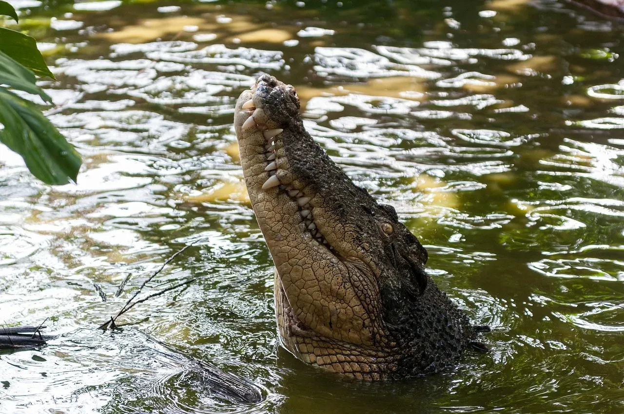 1-Day Saadani Safari + Wami Boat & Beach Walk