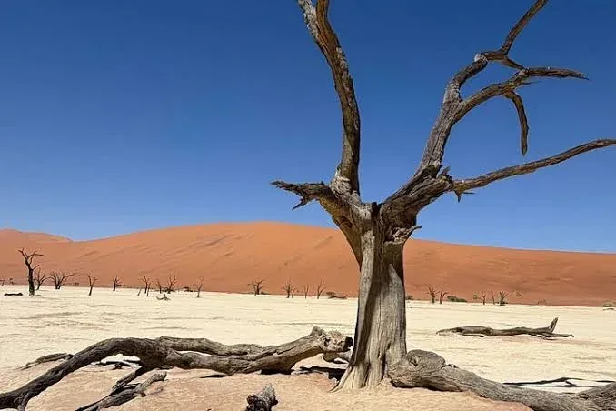 3-Day Sossusvlei & Deadvlei: Namibia Desert Adventure at Desert Grace