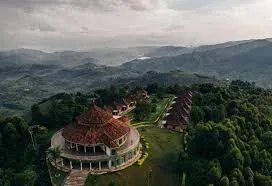 2-Day Mystical Nyungwe Safari
