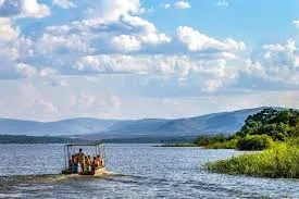 3-Day Rwanda Gorilla Trekking & Akagera Safari with Lake Ihema Cruise
