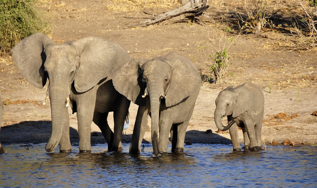 2-Day Tsavo East and Taita Hills from the Coast