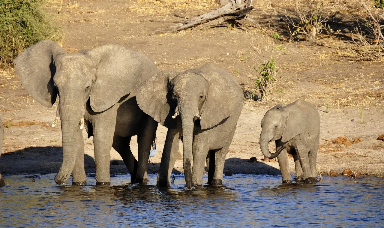2-Day Tsavo East and Taita Hills from the Coast
