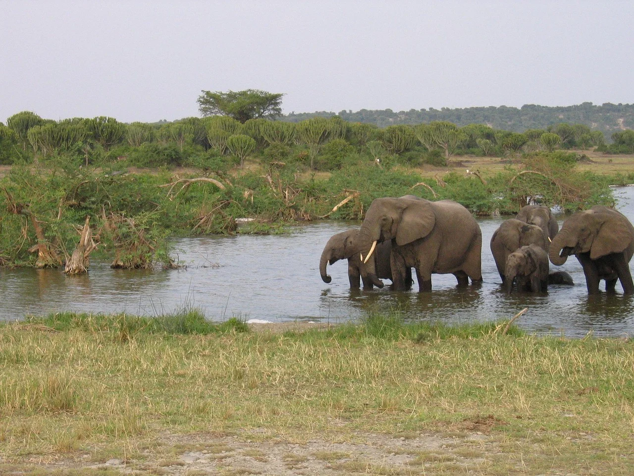 1-Day Kampala City Tour and Cultural Sites
