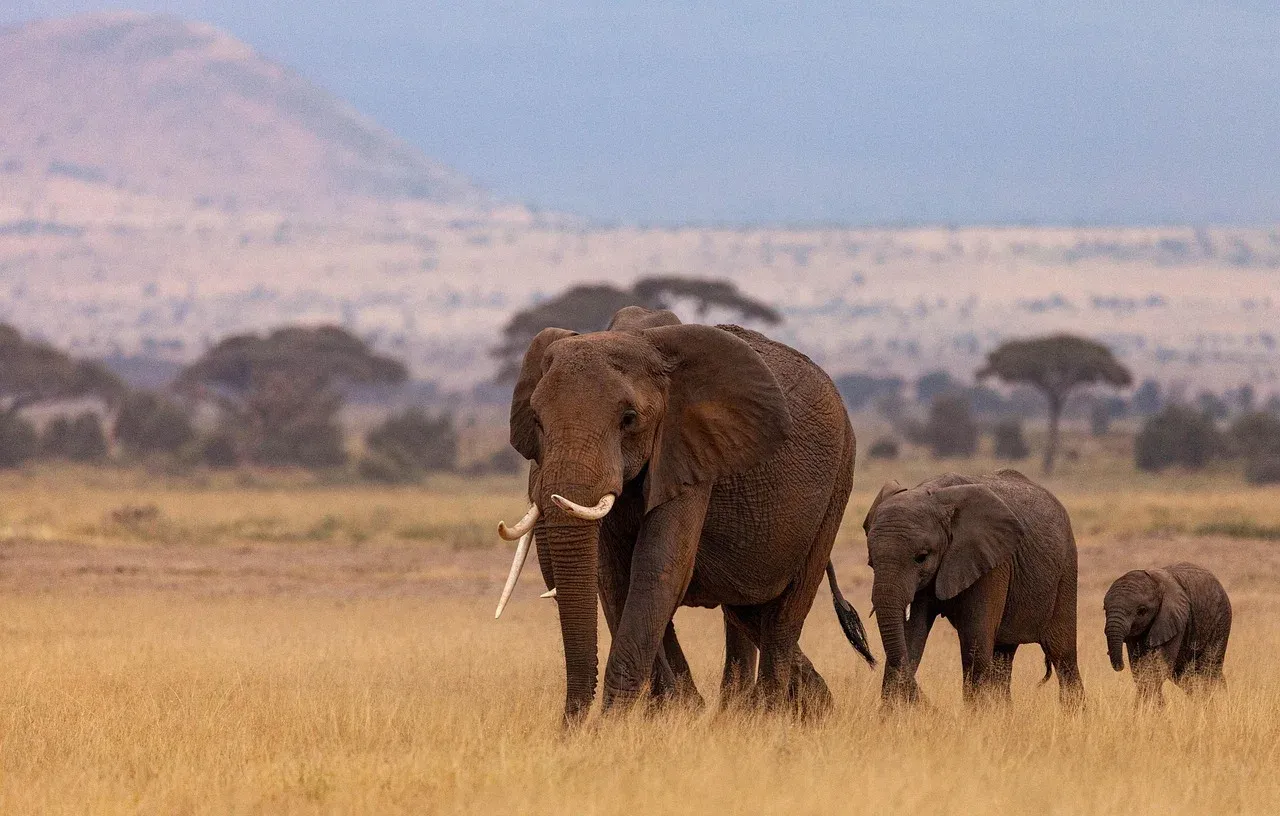 9-Day Classic Kenya Safari & Diani Beach Retreat