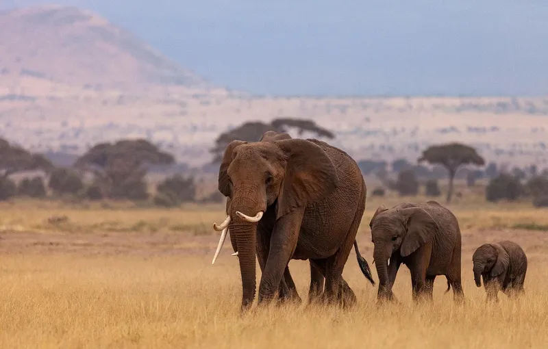 9-Day Classic Kenya Safari & Diani Beach Retreat