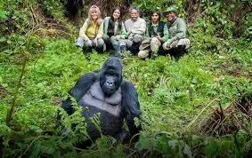 4-Day Rwanda Primates & Cultural Discovery Safari