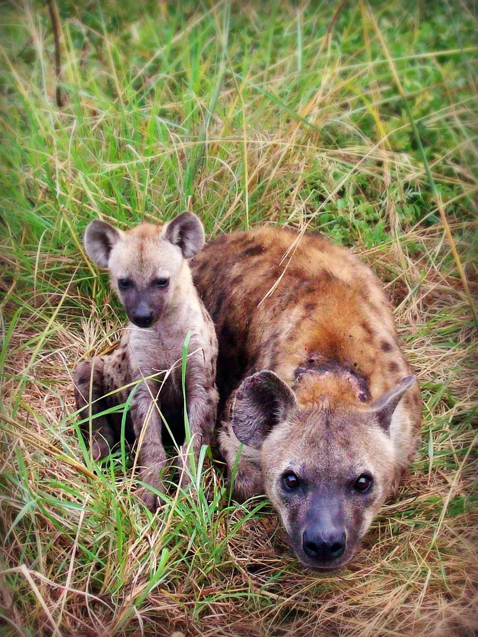 9-Day Wildlife Adventure