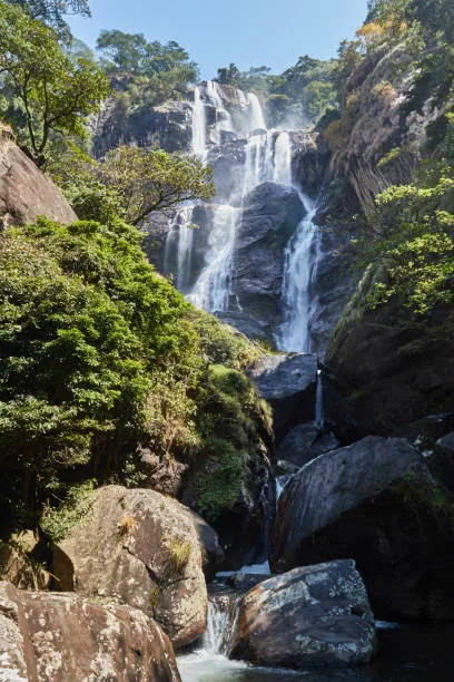 1-Day Organizational/Company Tour to Udzungwa Mountains National Park