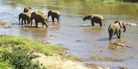 11-Day A Refined Journey Through Malawi