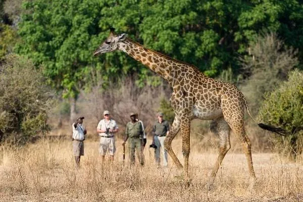 10-Day Malawi Culture and Wildlife
