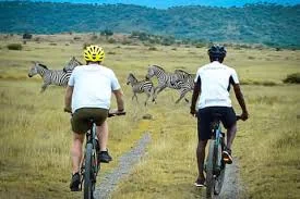 1-Day Moshi Bicycle Cycling Tour