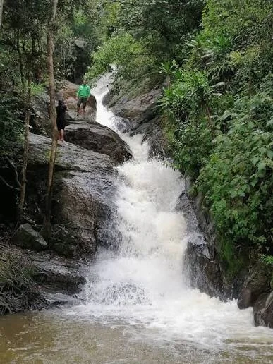 1-Day Mkuzu Waterfalls Tour