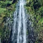 1-Day Organizational/Company Tour to Materuni Waterfalls & Coffee Experience
