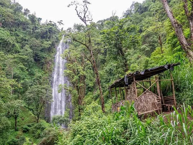 1-Day Organizational/Company Tour to Marangu Caves