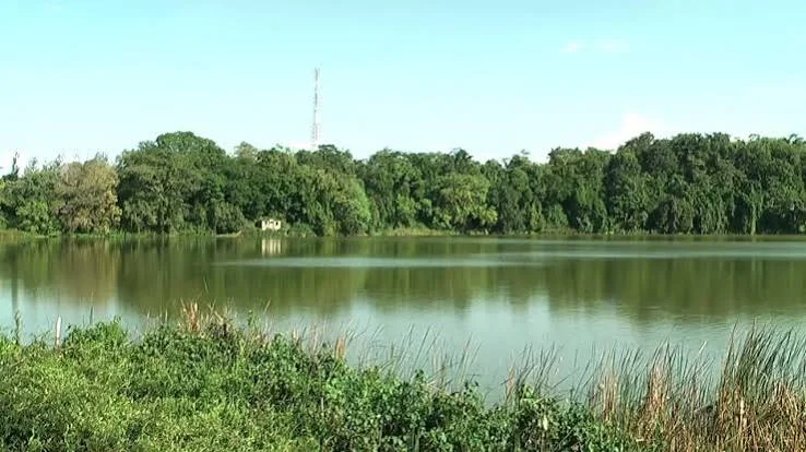 2-Day Lake Duluti & Arusha National Park Safari