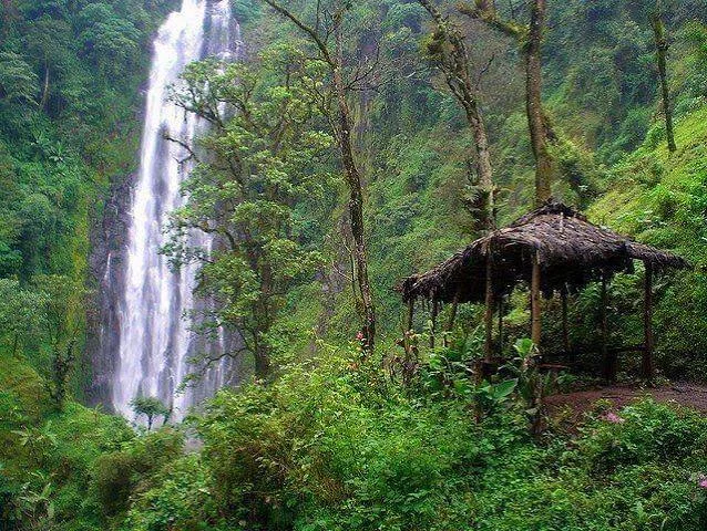 1-Day Marangu Waterfalls & Coffee Experience