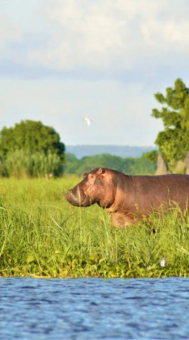 11-Day Exploring Magnificent Warm Heart Malawi