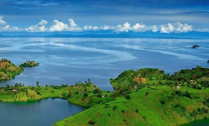 7-Day Rwanda Wildlife Safari & Volcanoes National Park Adventure