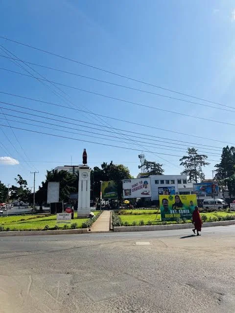 1-Day Organizational/Company Tour to Moshi City