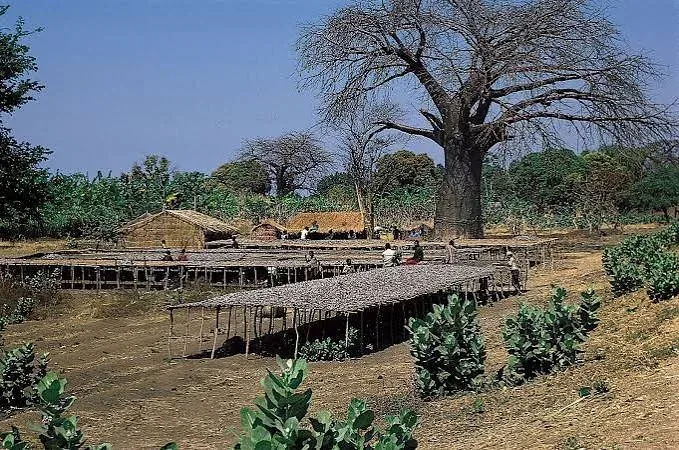 12-Day 11 Nights in Malawi and South Luangwa