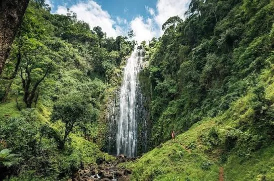 1-Day Materuni Waterfall & Coffee Tour Experience