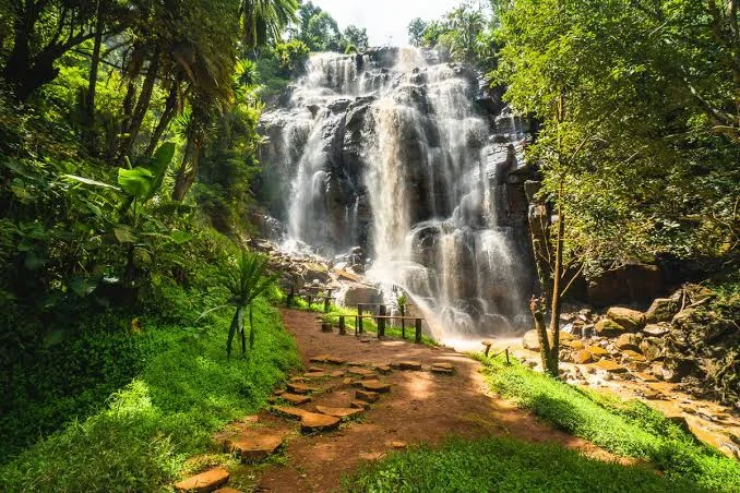 1-Day Kisasa Waterfalls Tour