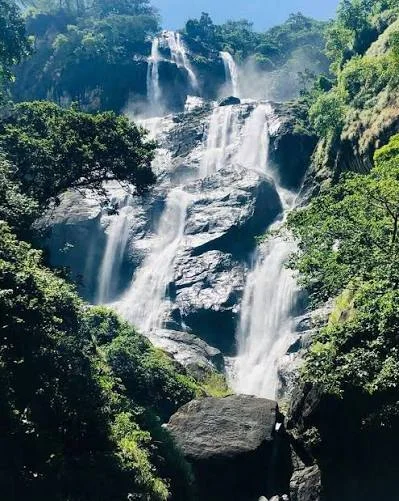 Discover one of Tanzania's most spectacular waterfalls on this full-day adventure to Sanje Waterfalls, located within the breathtaking Udzungwa Mountains National Park. Surrounded by tropical rainforest and rich biodiversity, Sanje Waterfalls cascade