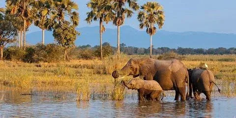 10-Day Malawi Experience Tour