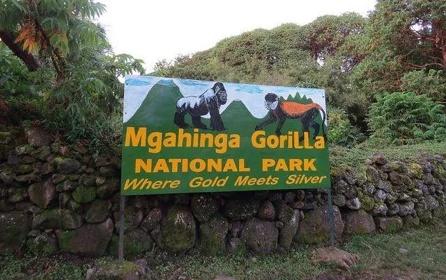 15-Day Rwanda, Uganda & Kenya: Ultimate Gorilla and Wildlife Safari