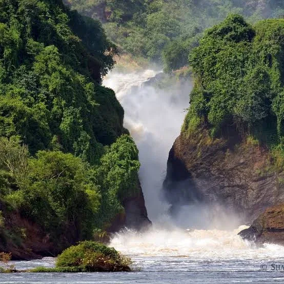 13-Day Uganda & Rwanda: Ultimate Wildlife and Gorilla Safari