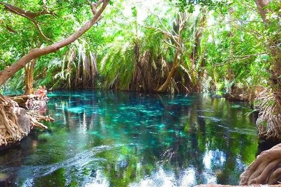 1-Day Organizational/Company Tour to Chemka (Kikuletwa) Hot Springs