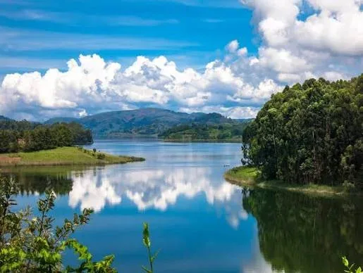 6-Day Rwanda Primate, Lake Kivu & Cultural Discovery Tour